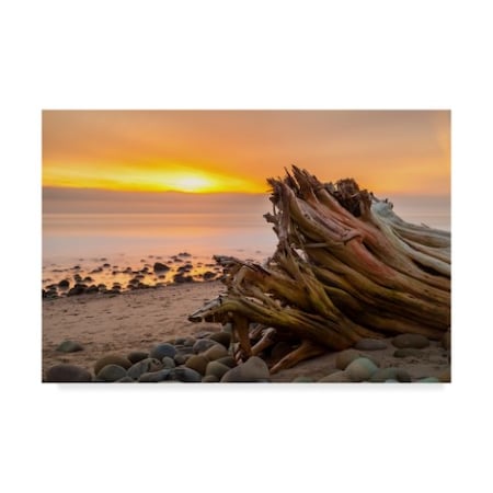 Chris Moyer 'Driftwood Sunset' Canvas Art,30x47